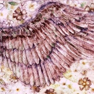 Joanna Allen Textiles, Pedddle