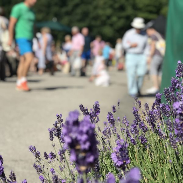 Rode Hall Farmers Market, Pedddle