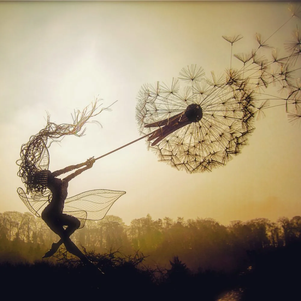 Fantasy Wire, Pedddle