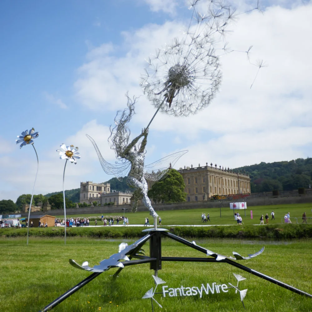 Fantasy Wire Ltd, Pedddle