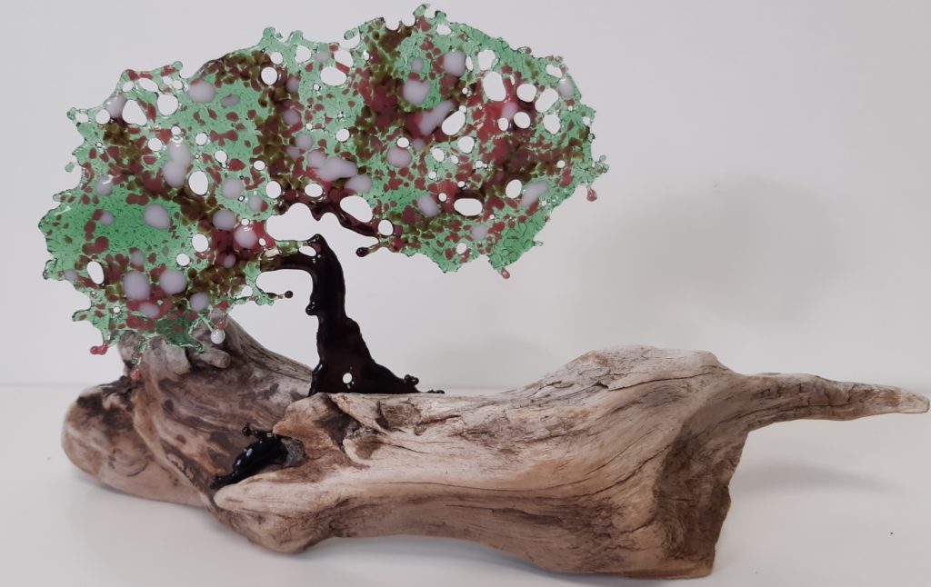 Stiltwalkers Stuff, fused glass tree with pale pink blossom mounted on driftwood