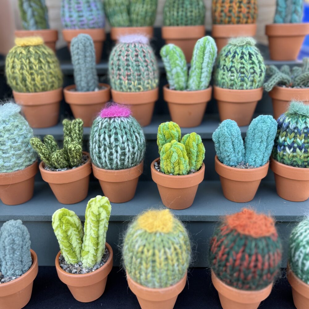 Cactus Parlour