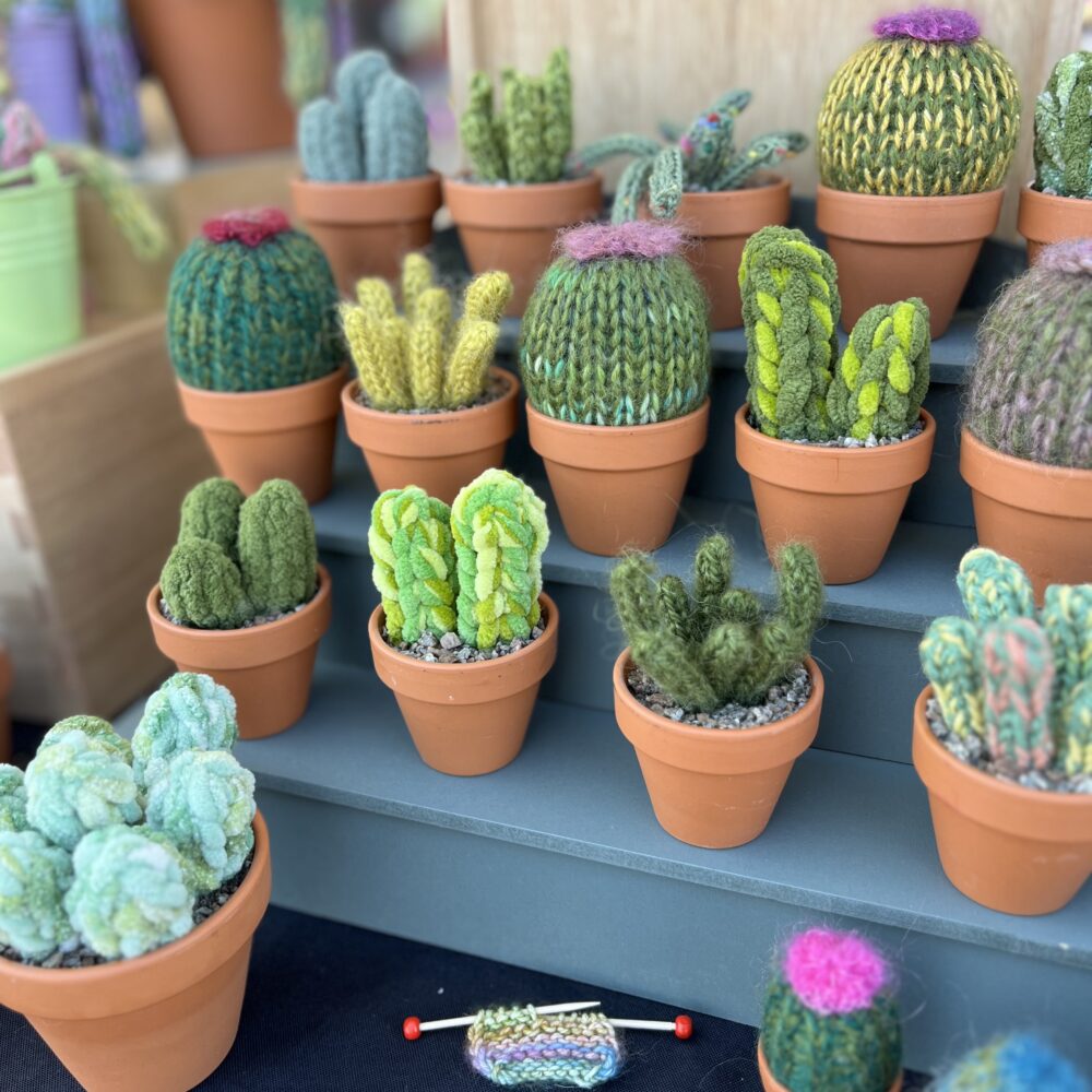 Cactus Parlour