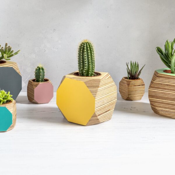 Priormade - geo vessel- Handmade colourful plant pots or desk tidies