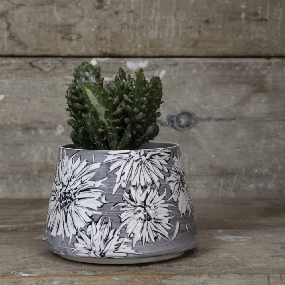 plantpot sunburst flower