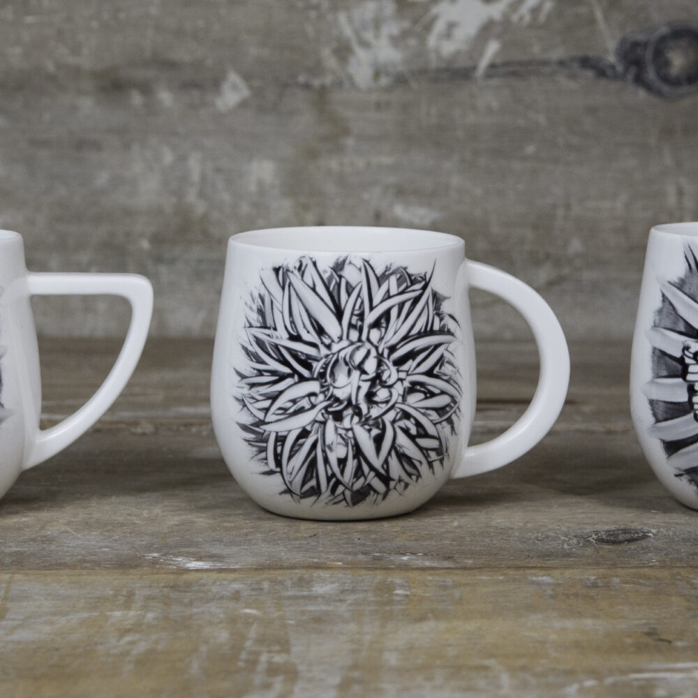 sunburst mug selection
