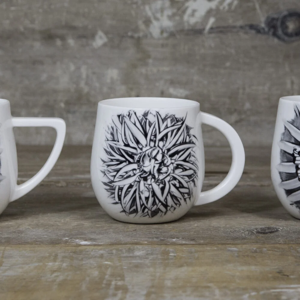 sunburst mug selection
