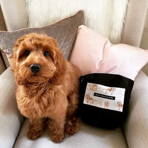 bertiewoofsterandme, dog walking bag with new puppy ,cockerpoo design fabric matching dog