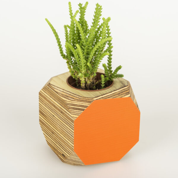 Colourful planter or desk tidy - orange
