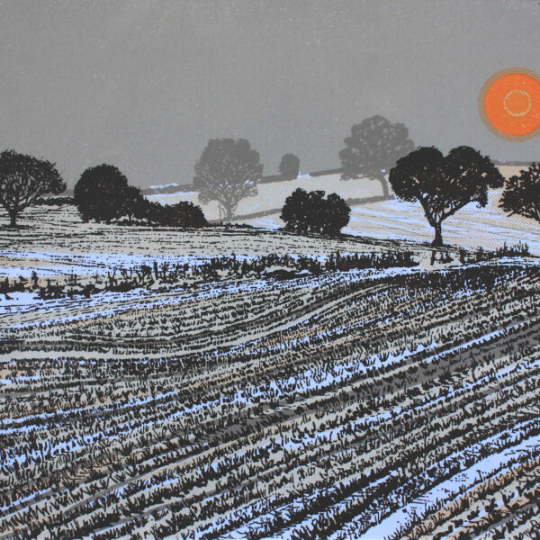 Kate Brooks, Winter Sun, original screen print