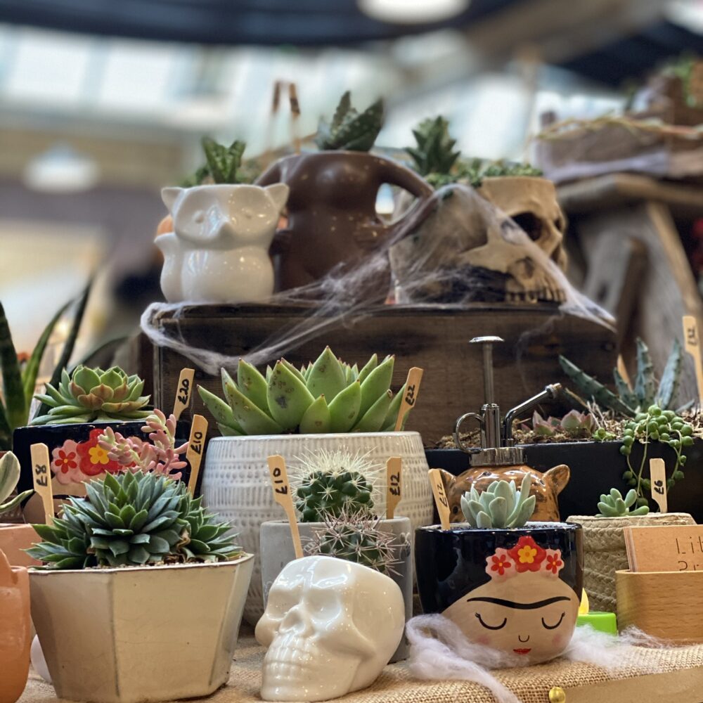 Little pricks planters display skulls and one off planters