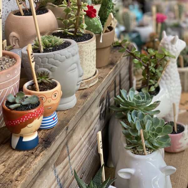 CUTE LITTLE PLANTERS INCLUDING COUPLE AND RHINO