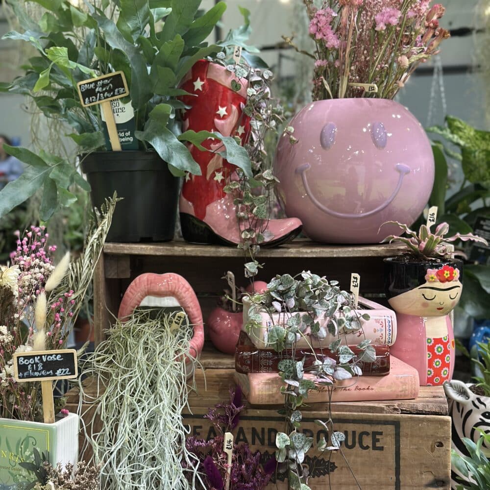 Little Pricks Plants