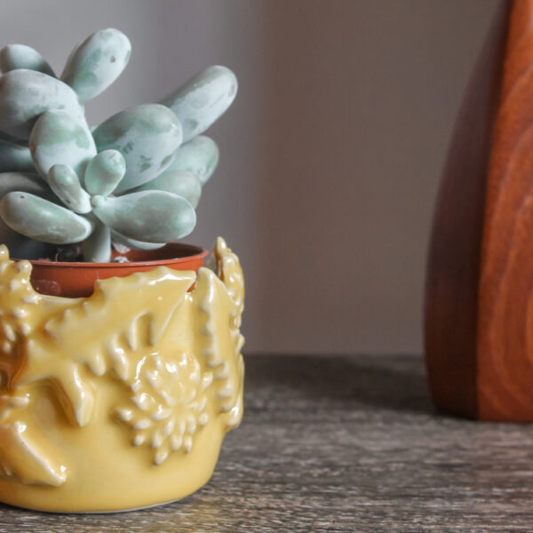 Teeny Yellow Plant Pot with Dandelion decoration