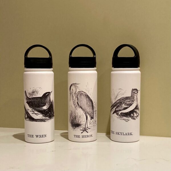 Stainless Steel, insulated water bottles