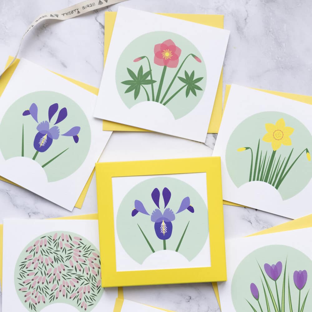 Small Card pack featuring early spring flowers, Iris, daffodil, crocus, Hellebore and heather Erica