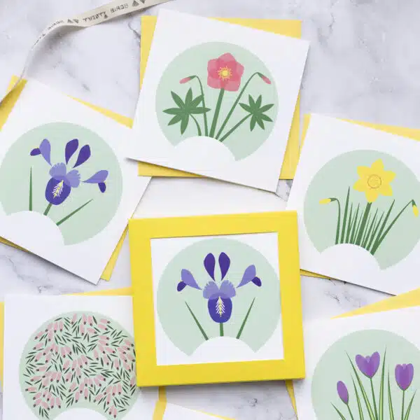 Small Card pack featuring early spring flowers, Iris, daffodil, crocus, Hellebore and heather Erica