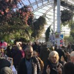 Pop Up in The Palm House Summer Market - Pop-up in the Palm House, Sefton Park, Liverpool