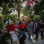 Pop Up in The Palm House Summer Market