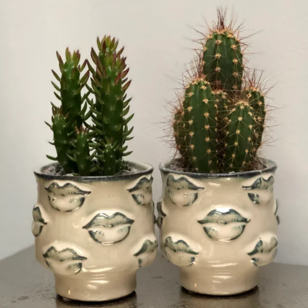 Ceramic lips pots planting kit, Cactus Parlour