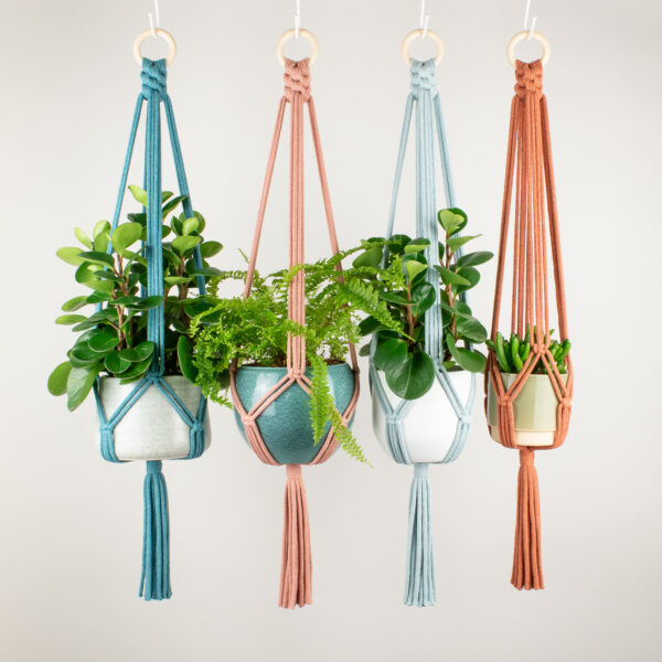 Rima Linden makes macrame plant hangers, recycled cotton colourful minimal macrame plant hanger with wooden ring