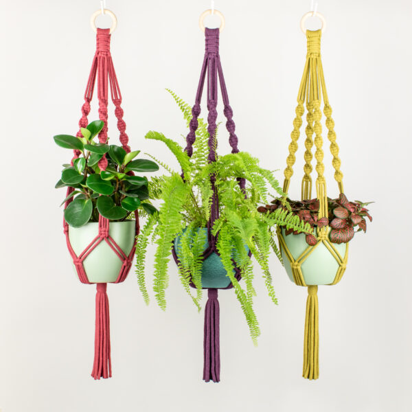 Rima Linden makes macrame plant hangers, recycled cotton colourful macrame plant hanger with wooden ring, sustainable hanging planter
