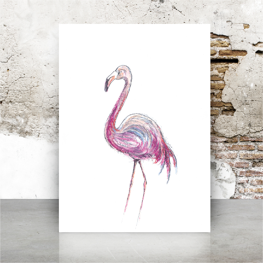 Colour print of a flamingo