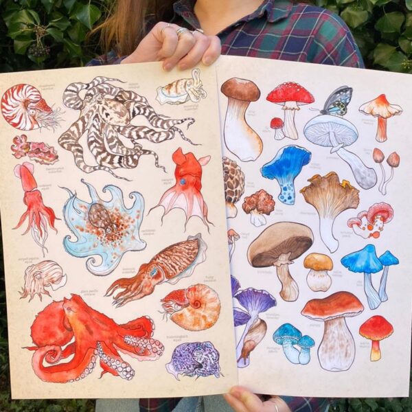 A3 Posters of Cephalopods and Mushrooms being held up