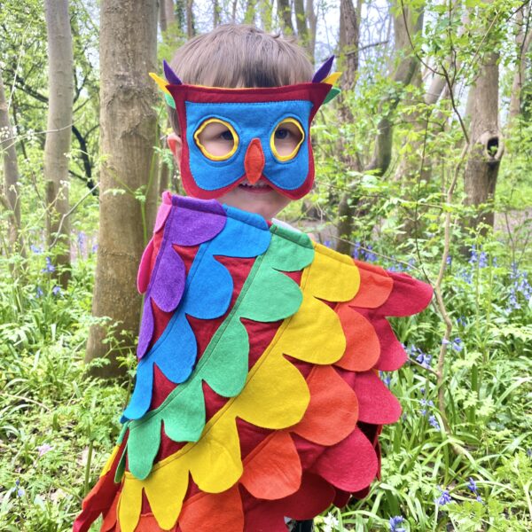 Rainbow Bird Wings, Carnival Bird Costume, Colour Bird Dress Up Costume