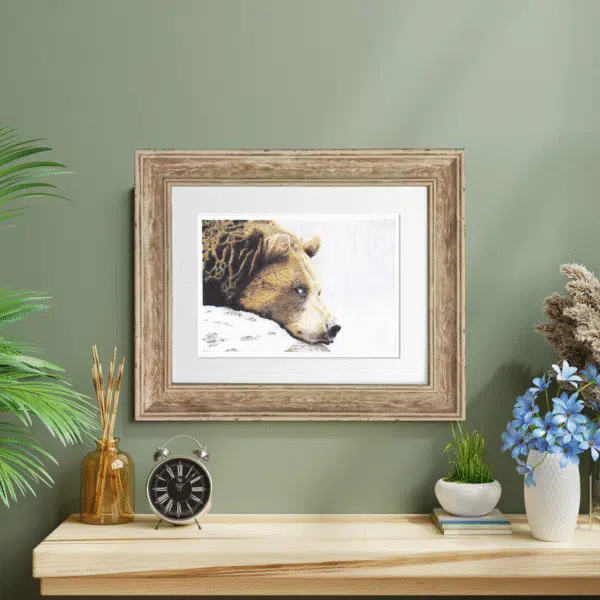 Framed original drawing of a European Brown Bear resting its head on a snow covered rock.