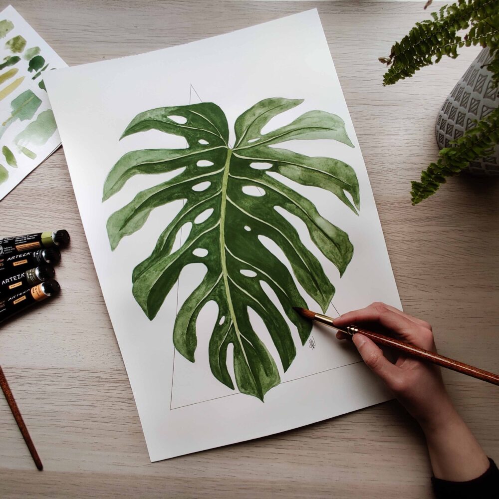 Studio A.W. | Botanical Illustrations, Prints & Cards- Pedddle