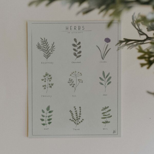 Herbs for witchcraft