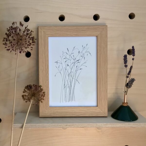 Photo of framed artwork of illustration of grasses