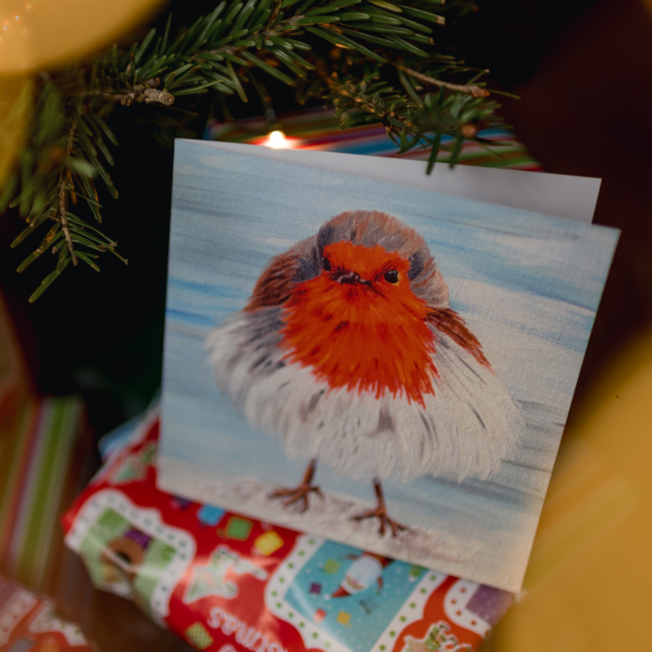 Hannah Kate Makes Fluffy Robin Christmas Card