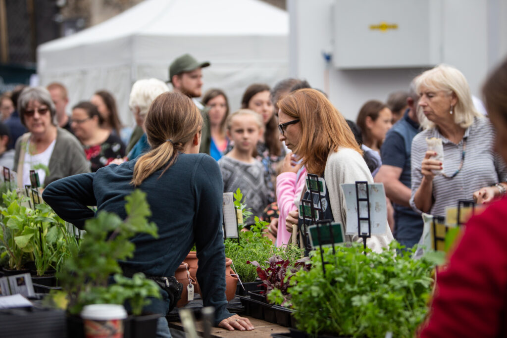 Taste of Sudbury - Taste of East Anglia Food and Drink Festival