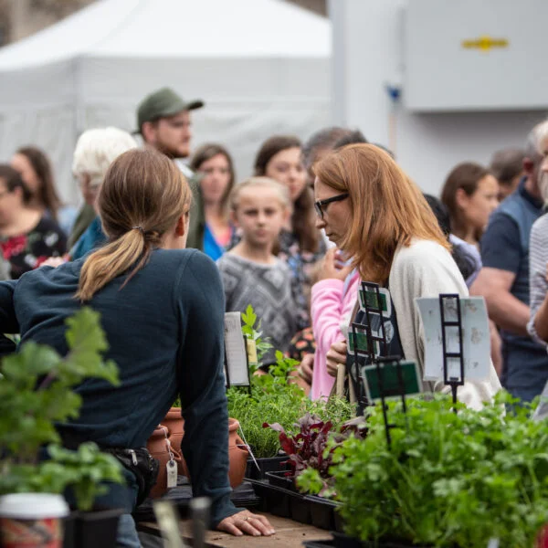 Taste of Sudbury