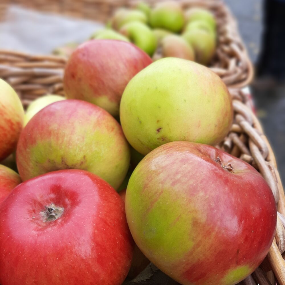 Lavenham Farmers Market Suffolk Markets on Pedddle