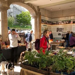 Hay Market Day_Cheese Market