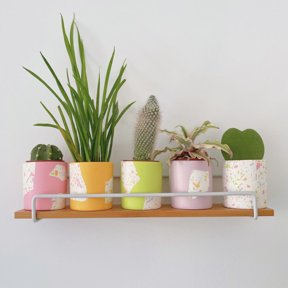 Em and the Terrazzo, small terrazzo plant pot