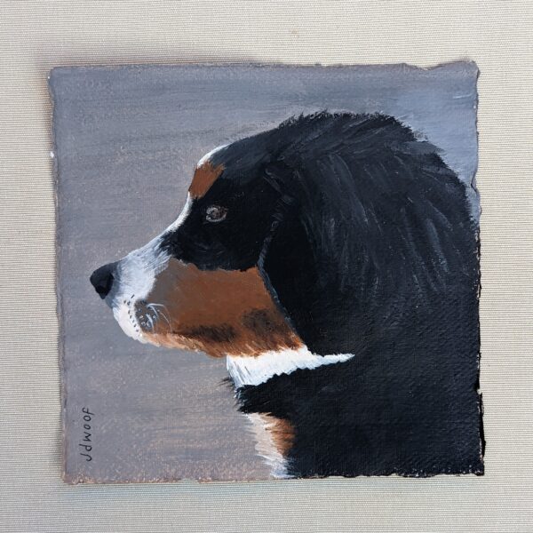 miss wood for the trees, jdwoof, dog portrait of bernese mountain dog