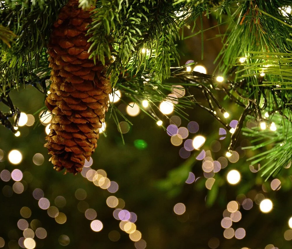 We’ve created a run-down of the best independent Christmas Markets in Scotland in 2023, so here goes…
