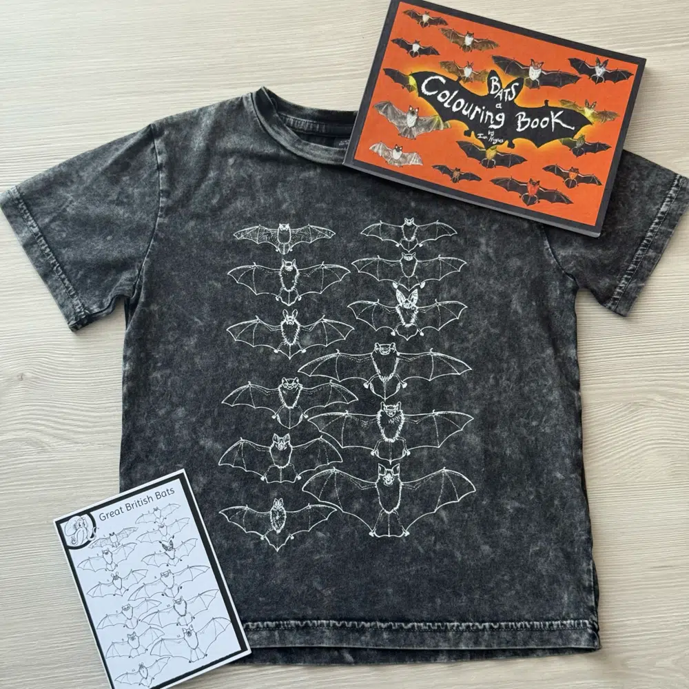 Children's Bats Gift Set | Lifeforms Art