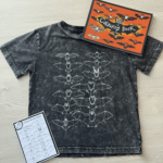 Children's Bats Gift Set | Lifeforms Art