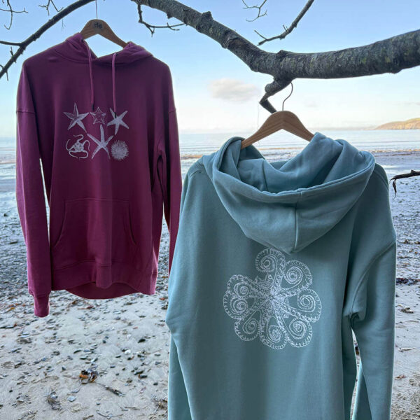 Echinoderms and octopus hoodies | Lifeforms Art