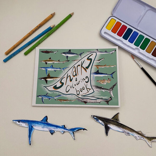 Sharks colouring book | Lifeforms Art