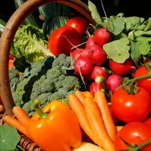 Market stall produce