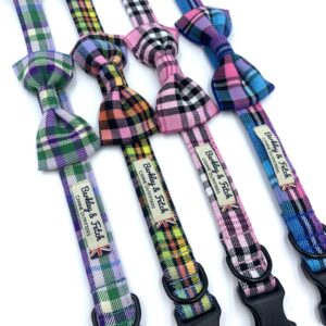Bright check collars with bow ties