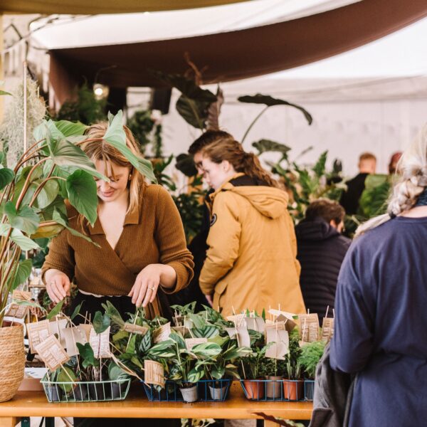 people looking at plants on a plant-packed stall