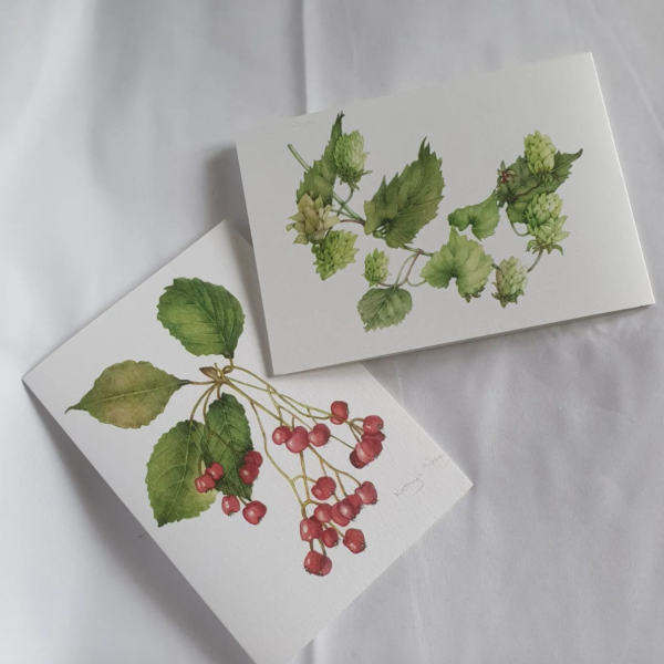 KS Botanical Art greetings cards