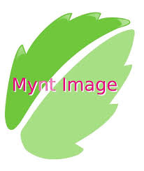 Mynt Image Ltd